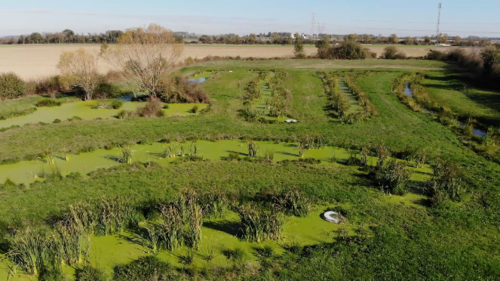 Impossible de lire la video